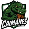 平原凯门鳄
